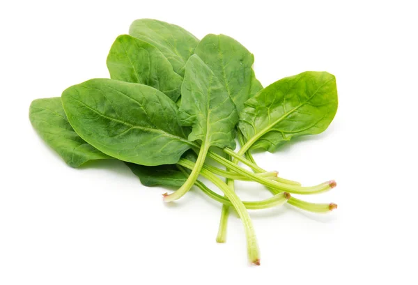 Spinach White Background — Stock Photo, Image