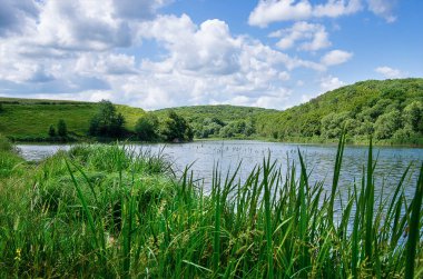 Güzel yaz peyzaj göl, yeşil çim ve mavi