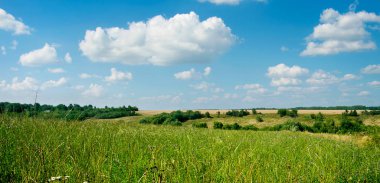 Çimenler ve mükemmel gökyüzü.