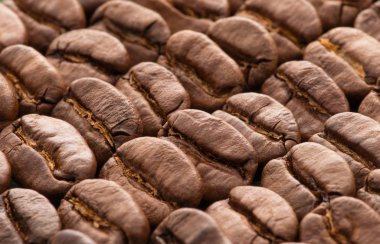 kahve çekirdekleri arkaplan dokusu