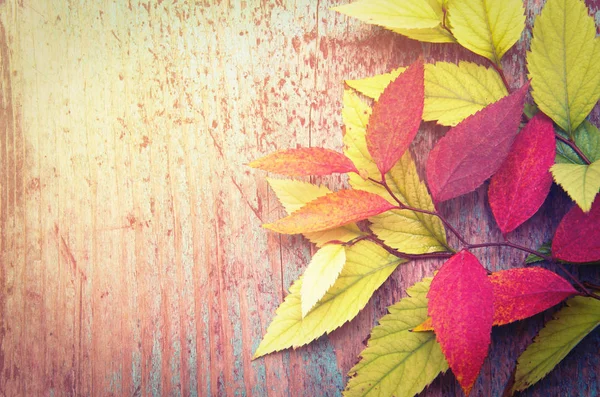 Autumn Leaves Wooden Background Copy Space — Stock Photo, Image