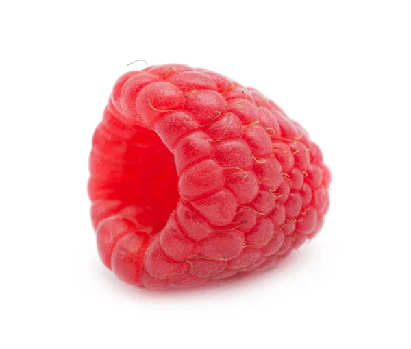 Raspberry isolated on white background — Stock Photo, Image