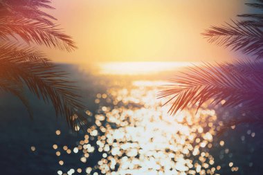 Bulanık doğa yeşil palmiye yaprağı tropikal günbatımı plajında Bokeh ışık dalgası soyut arka planda.