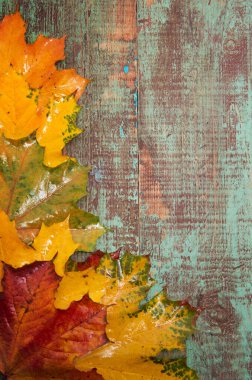 Ahşap arka planda sonbahar yaprakları