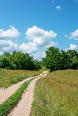 Ormanda ve gökyüzünde köy yolu