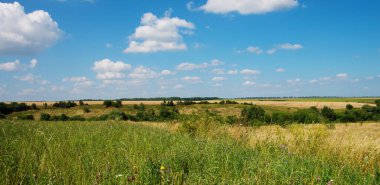 Çimenler ve mükemmel gökyüzü.