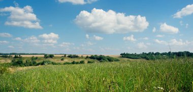 Çimenler ve mükemmel gökyüzü.