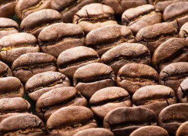 kahve çekirdekleri arkaplan dokusu