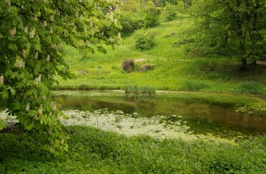 Göl ve parktaki güzel manzara.