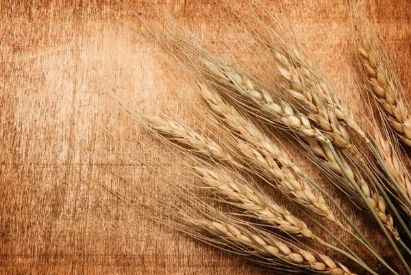 Wheat Wood Background — Stock Photo, Image