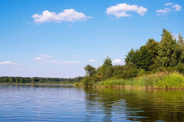 Прекрасний Літній Пейзаж Озері Зелена Трава Блакитне Небо — стокове фото