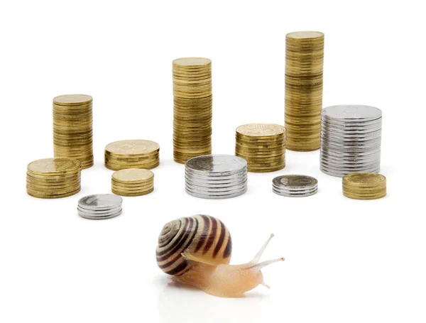在白色背景上隔离的蜗牛和硬币 — 图库照片