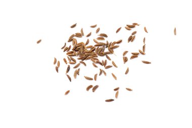 Caraway beyaz arkaplanda izole edildi.