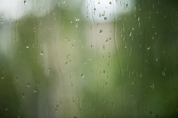 Rain drops on window with green tree in background