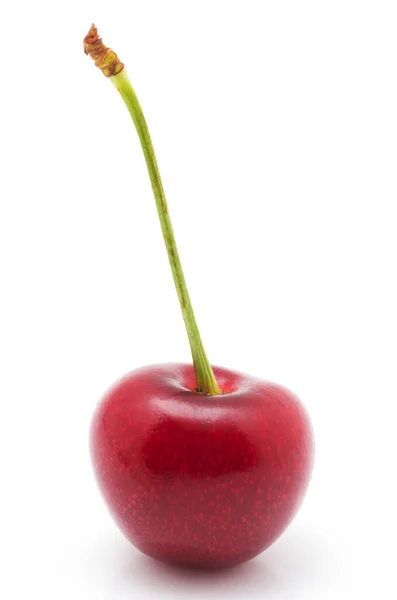 Cherry Izolované Bílém Pozadí — Stock fotografie