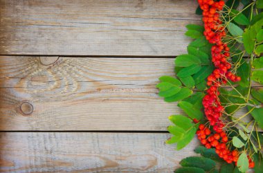 Ahşap zemin üzerinde ashberry