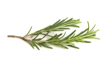 Beyaz arka planda bir dal biberiye