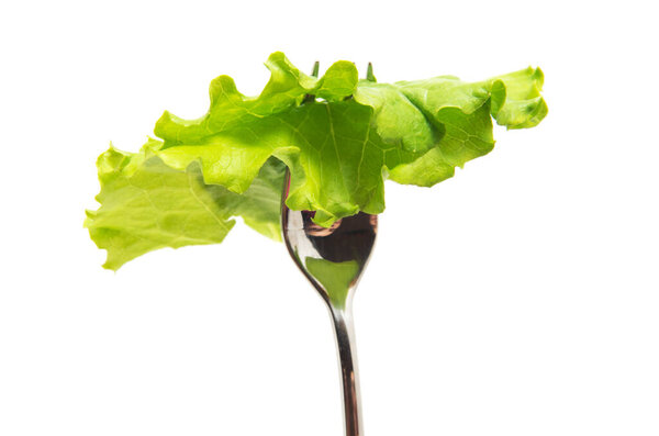 Green lettuce leaves on a fork isolated on white background