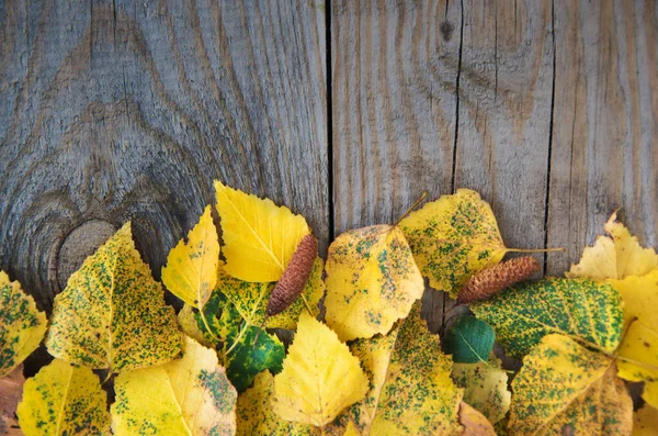 Осенний Фон Листьями Деревянной Доске — стоковое фото