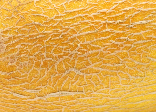 Melone Sfondo Texture Primo Piano — Foto Stock