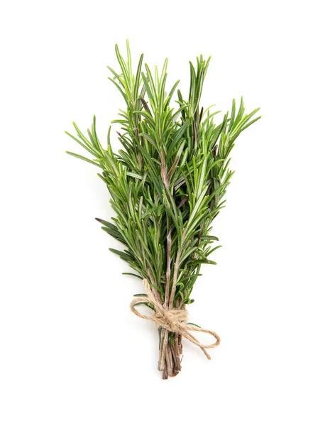 Rosemary Bound White Background Stock Picture