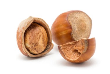 Beyaz arkaplanda fındık