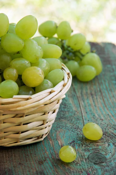 Groene Druiven Kom — Stockfoto