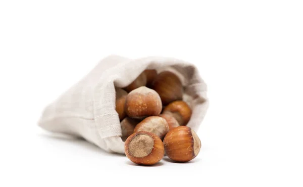 Hazelnuts White Background — Stock Photo, Image