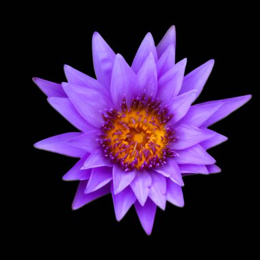 Dağda macera adamı.