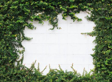 doğal yaprak çerçeve.