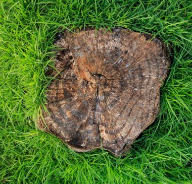 Çevre koruma kavramı