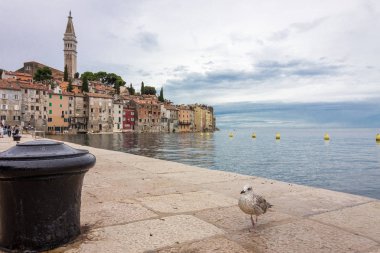 Rovinj için sahilden görüntülemek