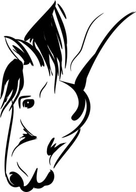 Horse head vector illustration vector Horse head vector illustration vector