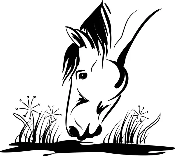 Grassing caballo vector ilustración — Vector de stock
