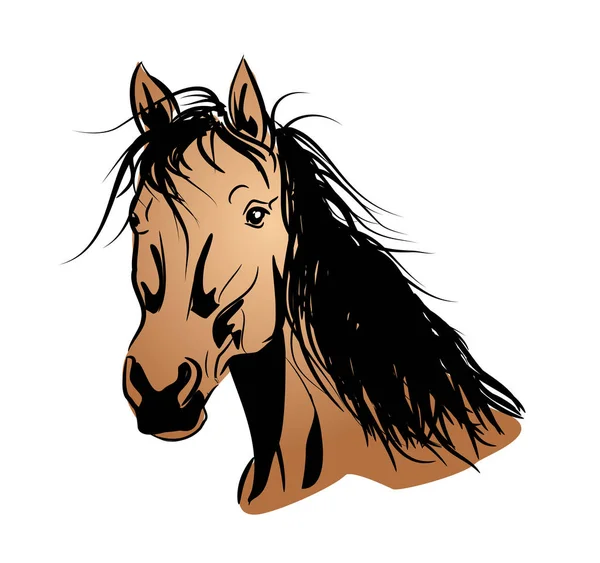 Cabeza de caballo marrón claro — Foto de Stock