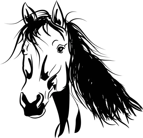 Cabeza de caballo vector — Archivo Imágenes Vectoriales