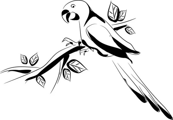 Ilustração vetorial de papagaio — Fotografia de Stock