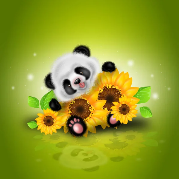 Panda mit Sonnenblumen — Stockfoto