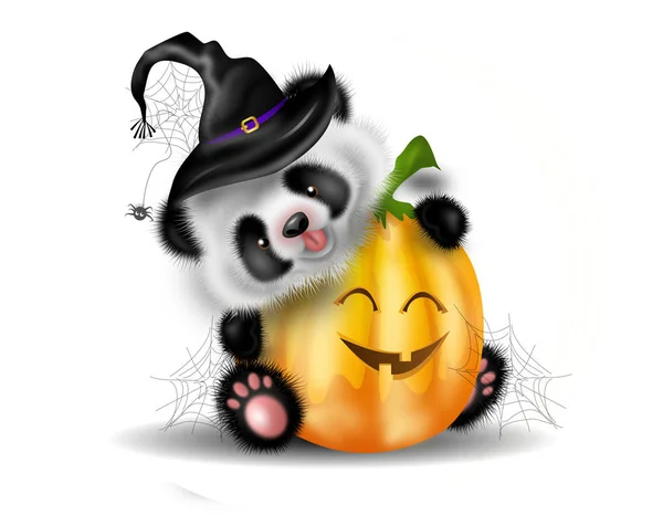 Halloween pumpa med panda bear — Stockfoto