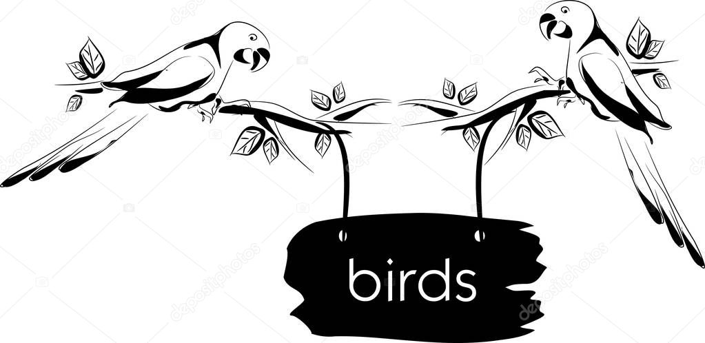 Vector illustration of two parrots on twig of trees