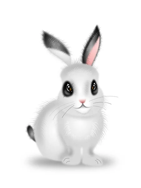 可爱的兔子插图 — 图库照片
