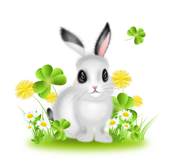 Cute rabbit in grass — Stock Photo, Image