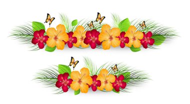 Hibiscus dekorasyon hatları
