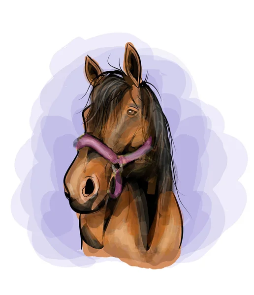 Ilustracja głowy konia — Zdjęcie stockowe
