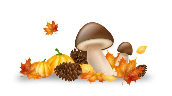 Decorazione autunno oggetti — Foto Stock