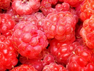 Ahududu Fotoğraf Detayı