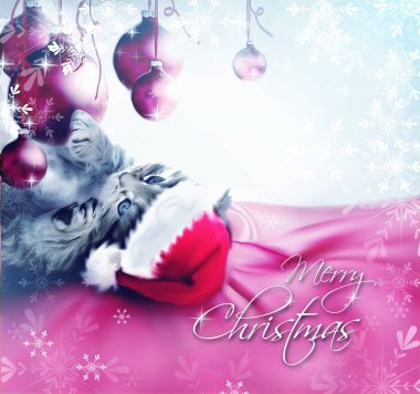 Küçük yavru kedi ile sevimli Noel tebrik kartı