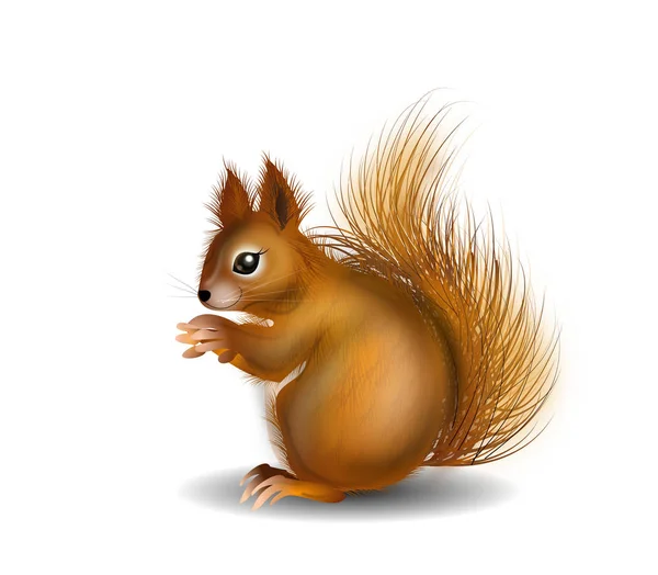 Ilustração de esquilo — Fotografia de Stock