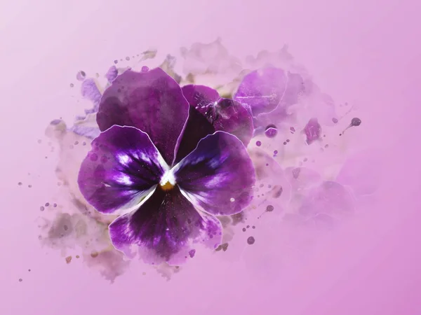 Fondo rosa violeta — Foto de Stock