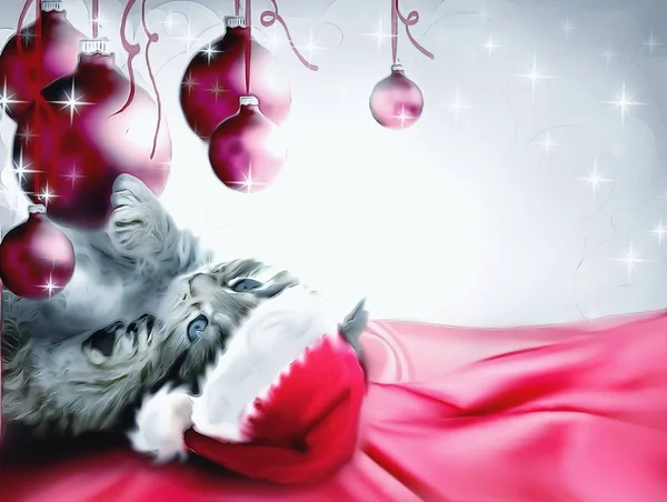 Słodkie Boże Narodzenie z życzeniami z mały kotek — Zdjęcie stockowe